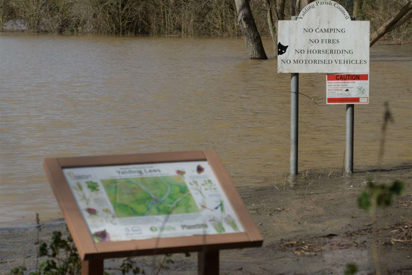 The Medway burst its banks around Yalding. Picture: Chris Davey