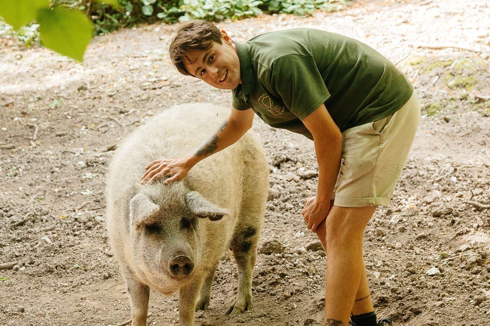 Dan Skedd, Bay Trust's staff with pig Lisa