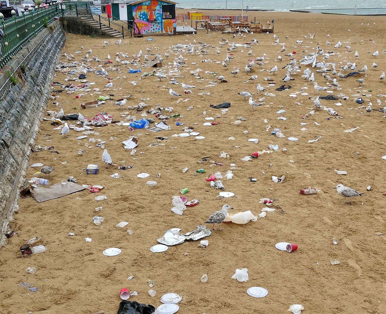 Seagulls help themselves after the waste was left behind. Picture: Frank Leppard