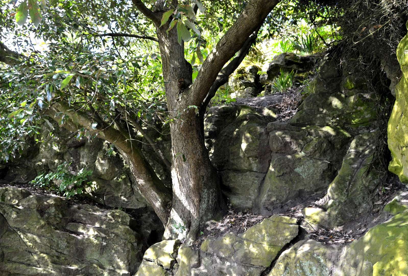 The Zig Zag path in Folkestone will be closed for approximately one week. Picture: FHDC