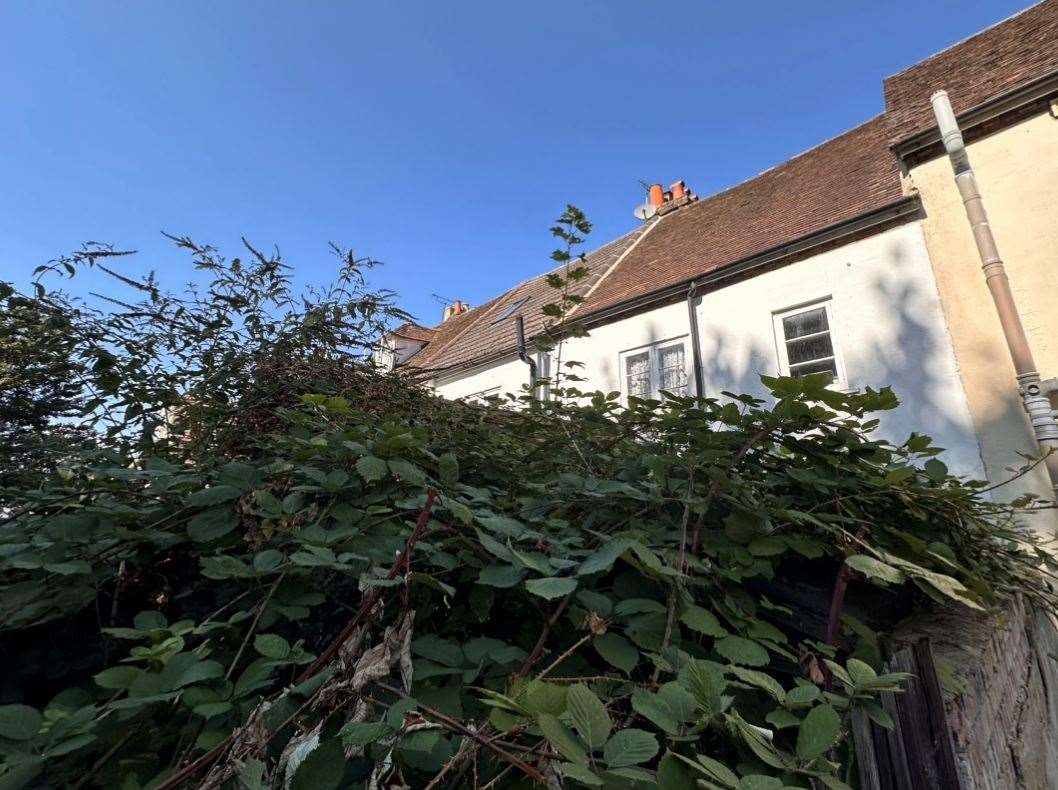 The back of the premises at Save the Children in Union Street, Maidstone, is overgrown with brambles