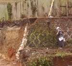 A section of the tudor wall was removed by builders