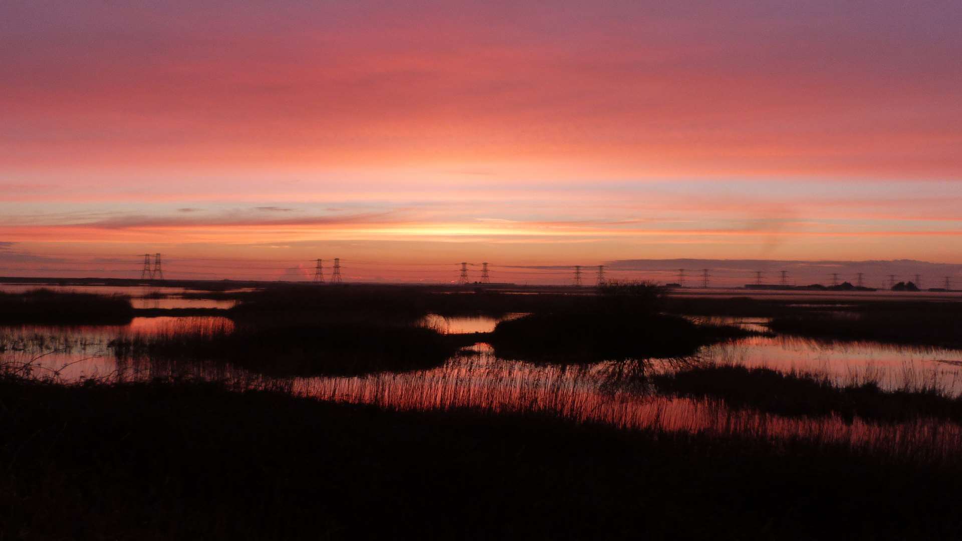 Dungeness Picture: Craig Edwards