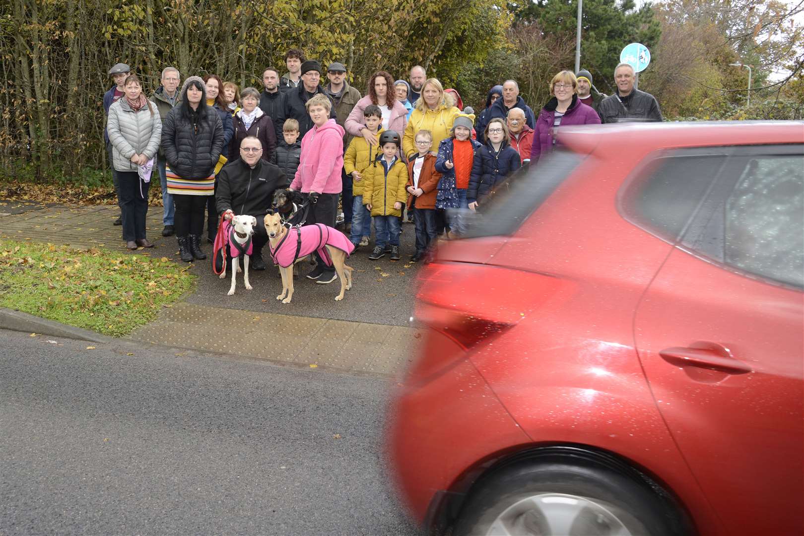 The petition is calling on the county council to put a signalised pedestrian crossing on Britannia Lane. Picture: Paul Amos