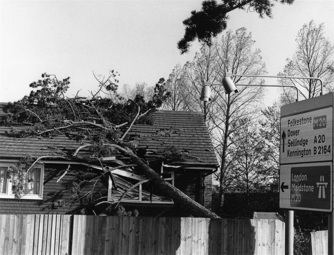 A tree fell through the roof of a house in Hythe Road, Ashford. Picture: Steve Salter.