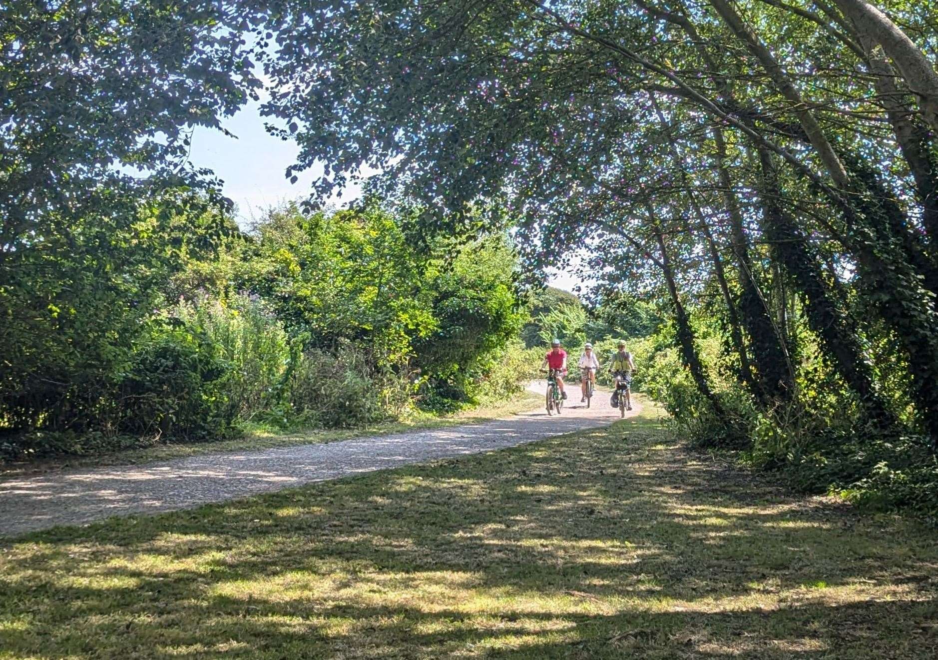 Cyclists on the path that runs alongside the Royal Military Canal