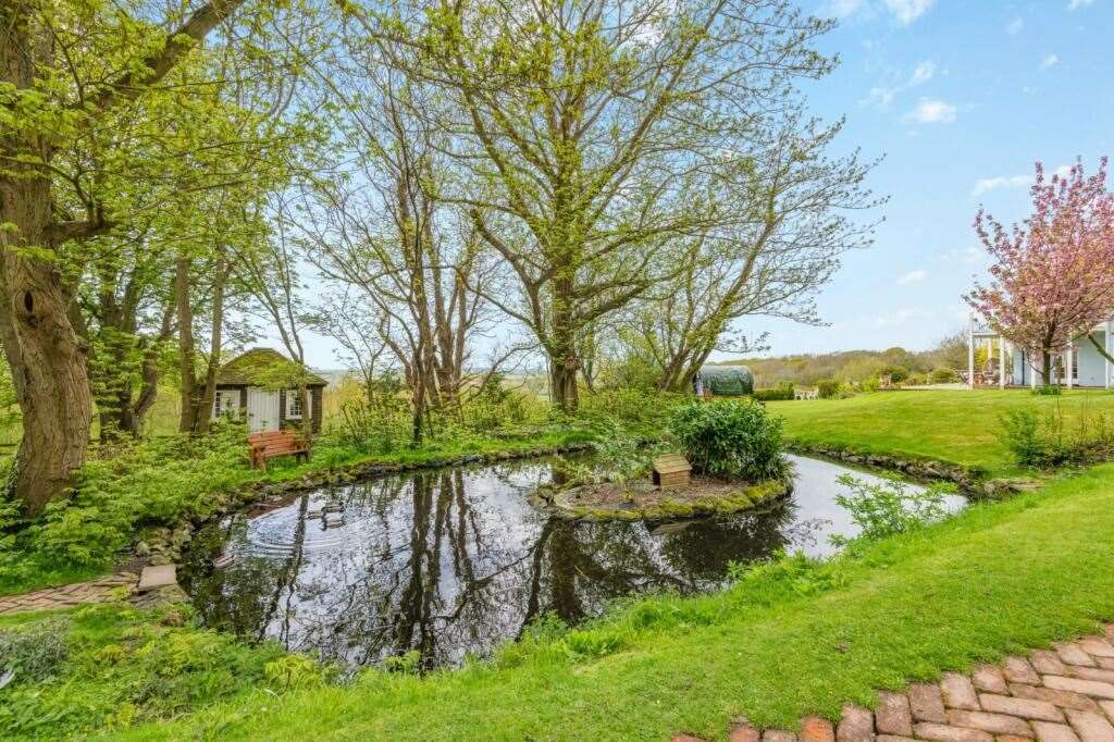 The wildlife pond. Picture: Strutt and Parker