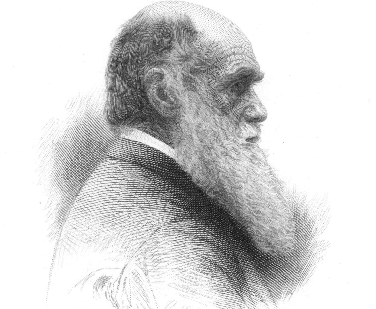 Portrait of Charles Darwin