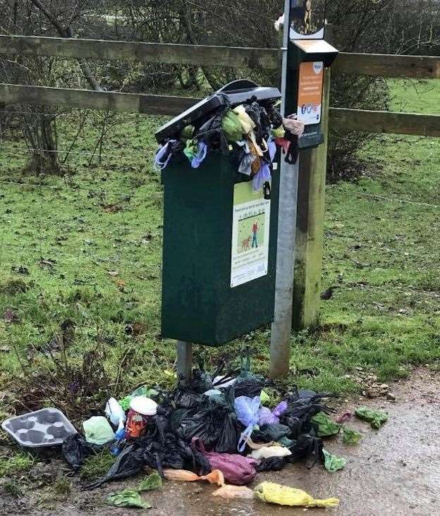 An over-flowing dog poo bin. Stock picture