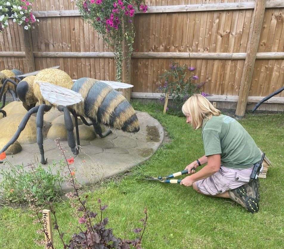 Keeping the Bug Garden tidy at Wingham