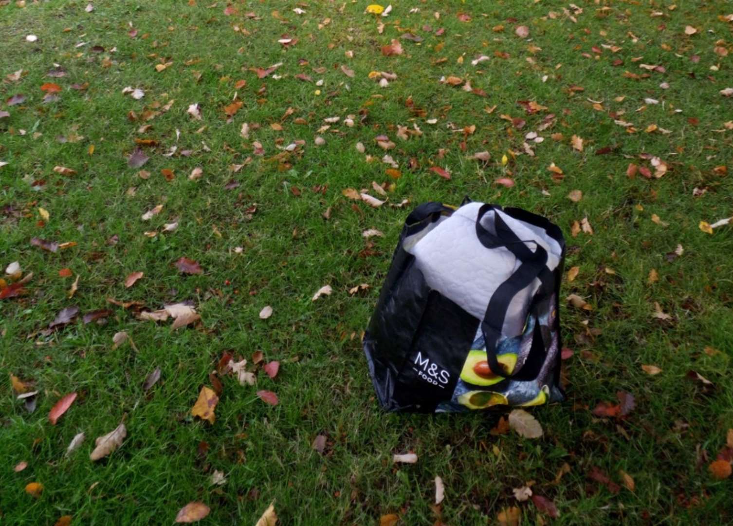 The disabled cat was found dumped in a Marks and Spencer bag