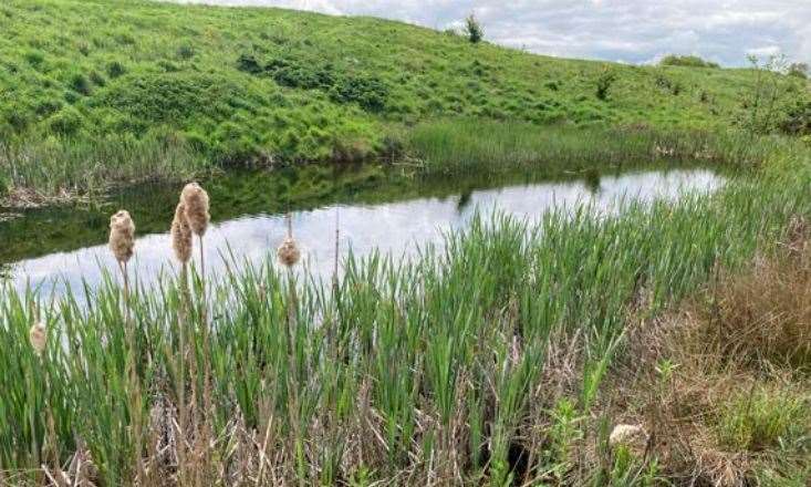 The former Deangate Ridge Golf Course will become a community parkland