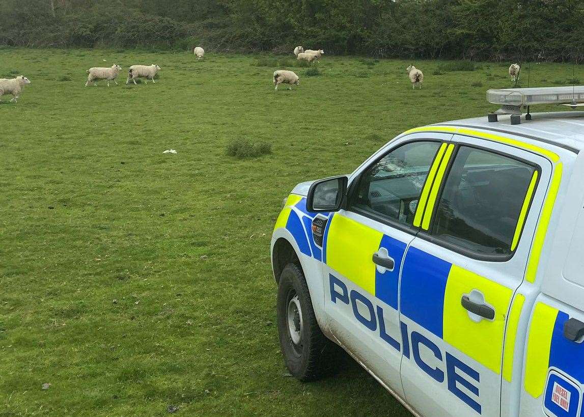 Criminal gangs are using drones to steal high value farm machinery and livestock