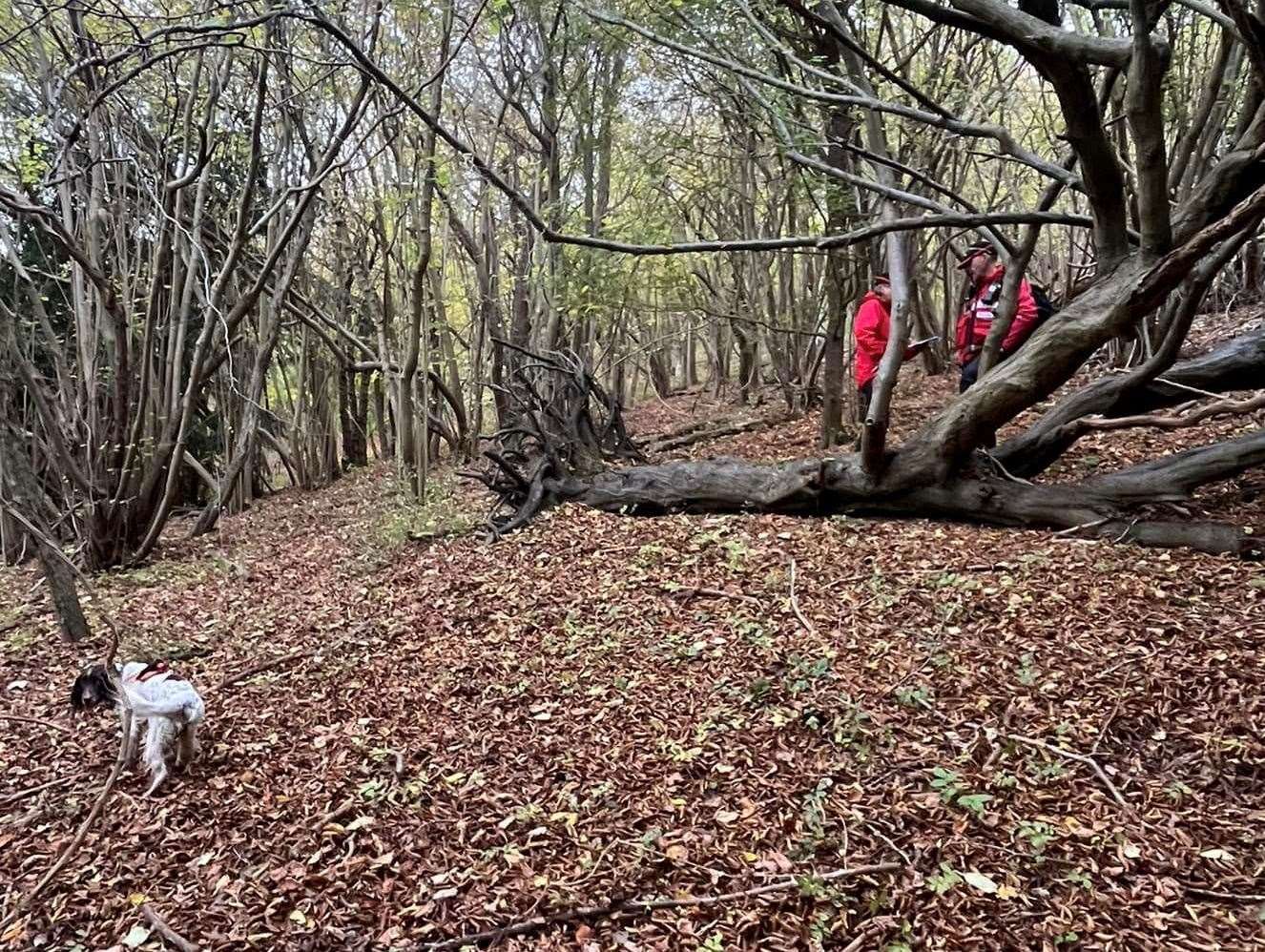 Dog teams, including Kent Search & Rescue dog Bonnie, have been looking for the missing teenager. Picture: Search Dog Bonnie