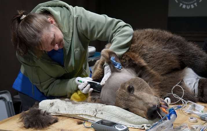 Boki during the operation to drain fluid from is brain. Picture: Gareth Fuller/PA