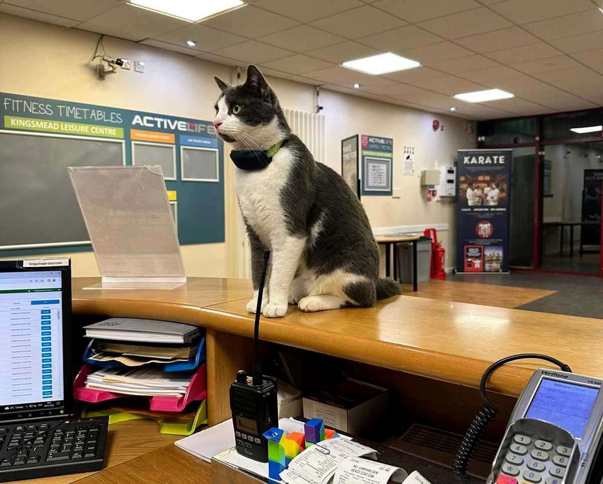 Health conscious Griffin pays a visit to the gym. Picture: Sophie Kay