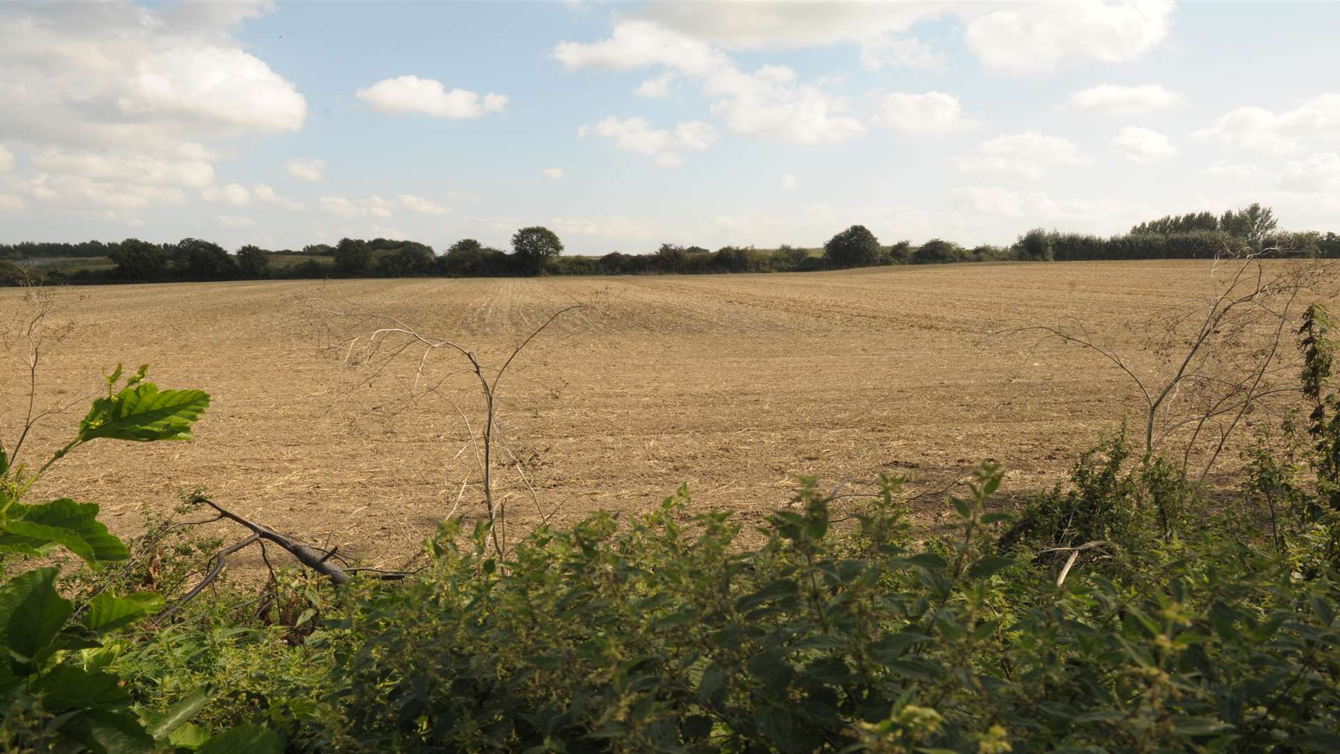 The Westmoor Farm boot fair is held in the field