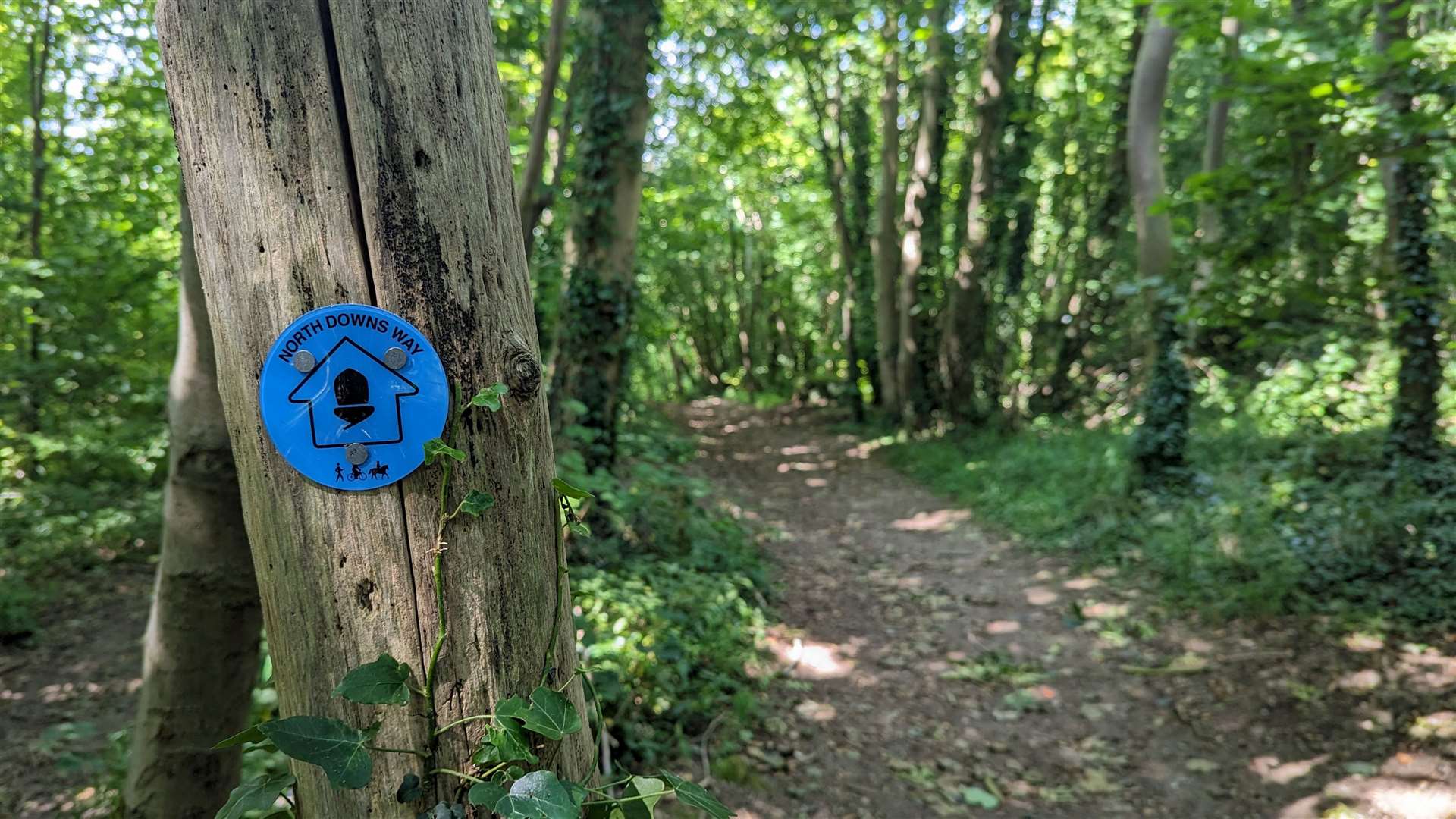 The vast majority of paths on this walk were well signposted and maintained