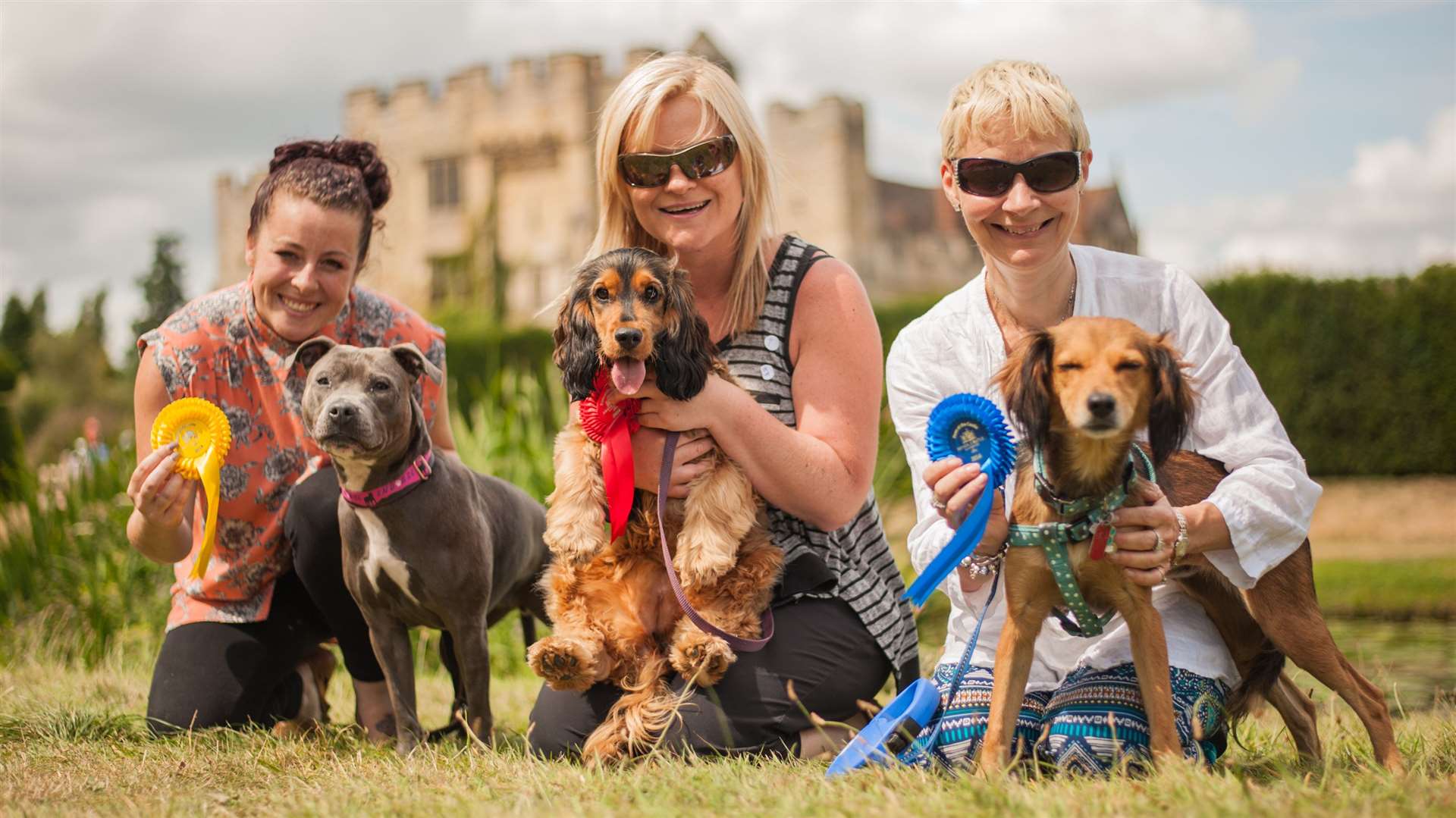 Castlle Canines Picture: Alison Bailey