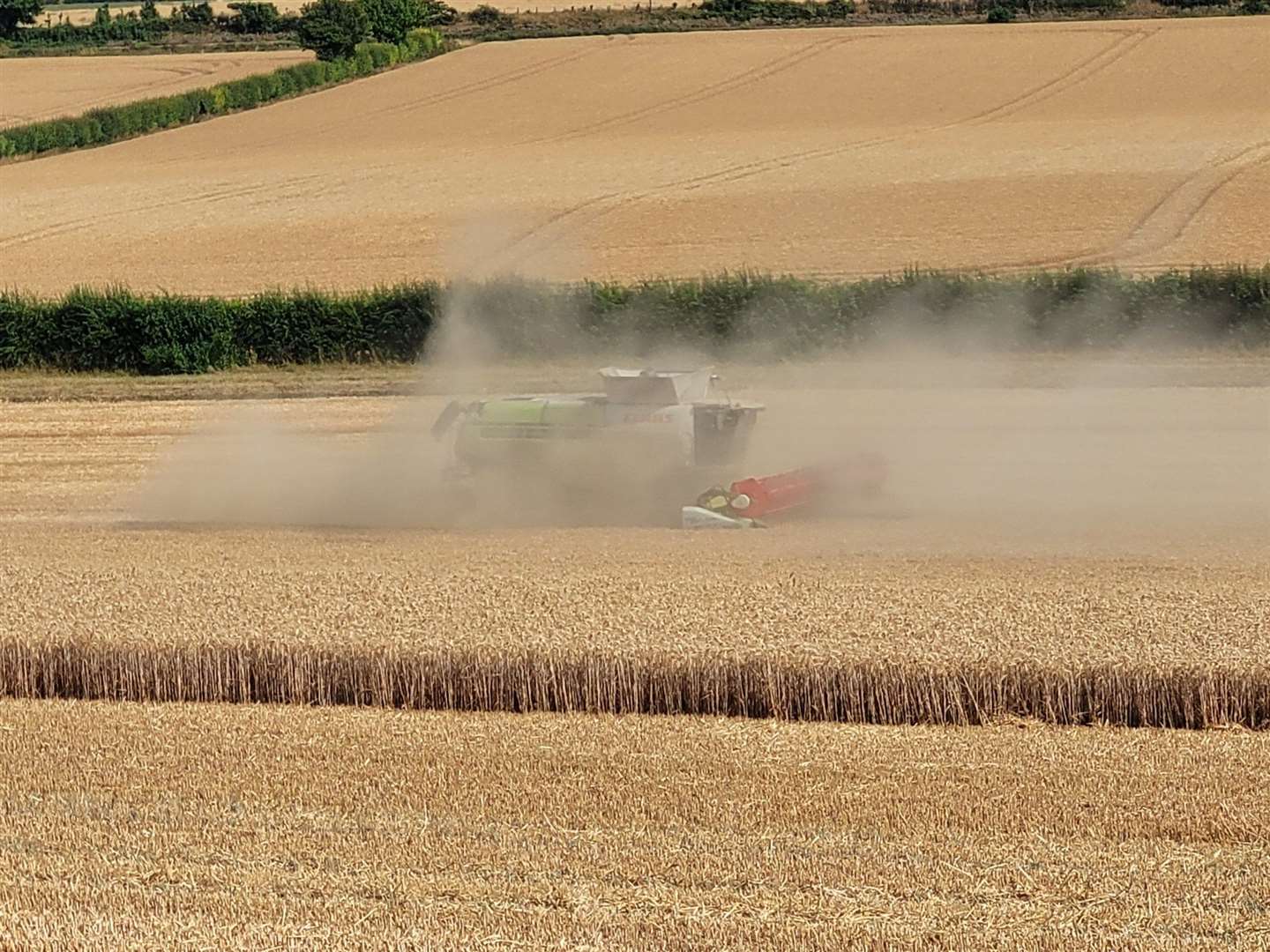 The Hawarden family say they are committed to farming. Pic: Hawarden Farming (60017321)