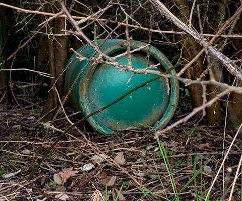 Larger items have also been dumped further in the bushes