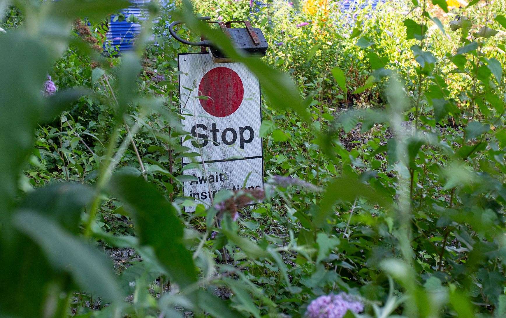 The site is largely overgrown now, particularly with bee-attracting buddleia plants