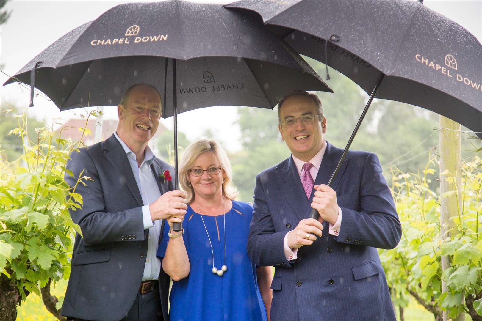 Frazer Thompson, Sandra Matthews-Marsh and Michael Ellis brave the rain in the vineyard (2341277)