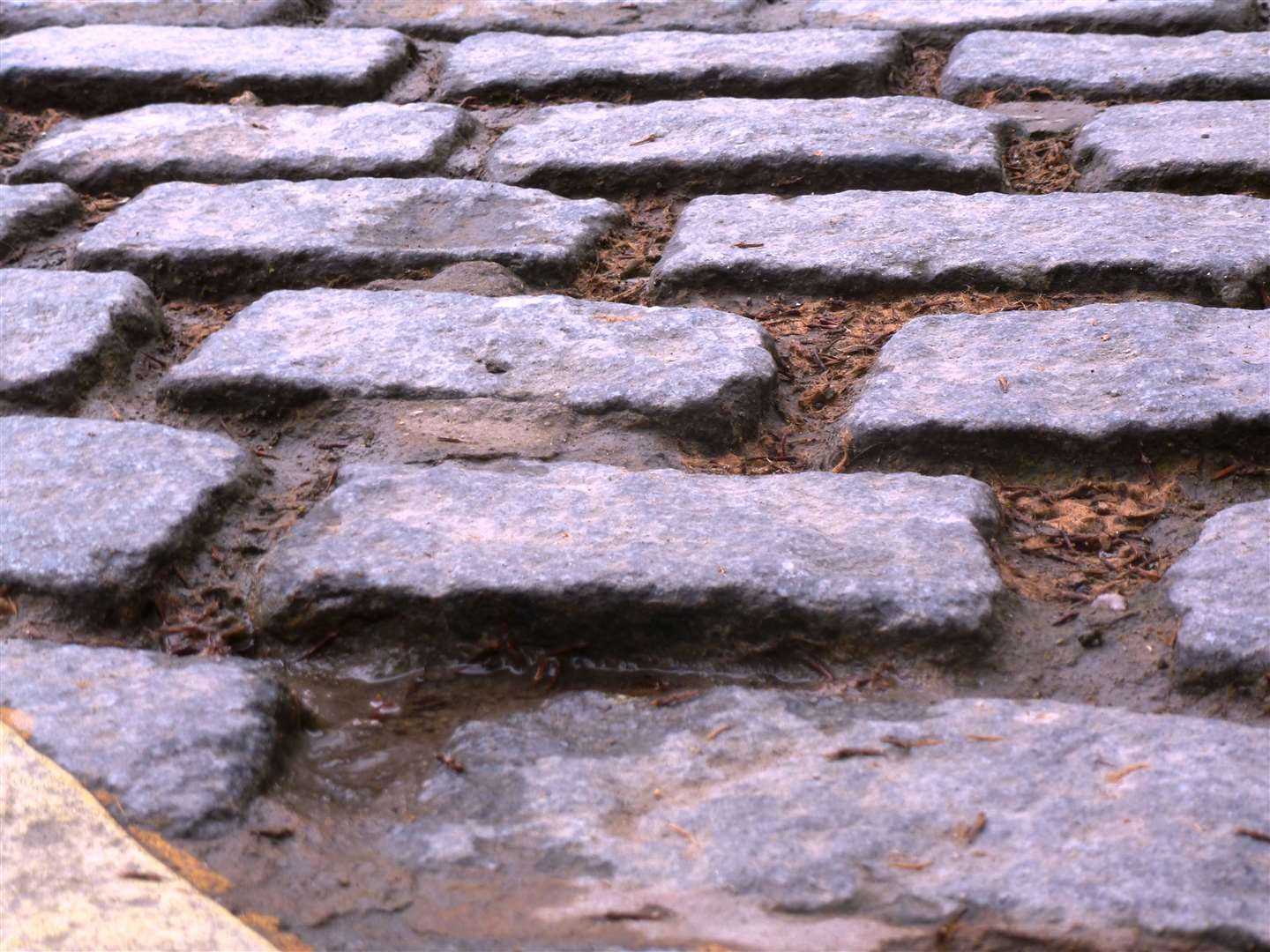 The cobbles will be ripped up in the coming months