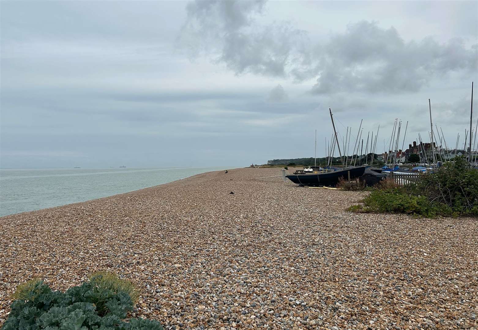 Southern Water spent £3.9m on improving water quality at the area around Deal Castle