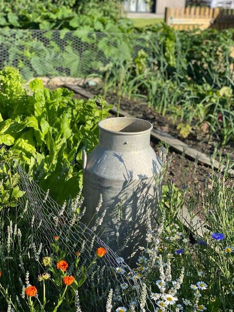 Vegetables grown in the garden at Frasers are used in its kitchen