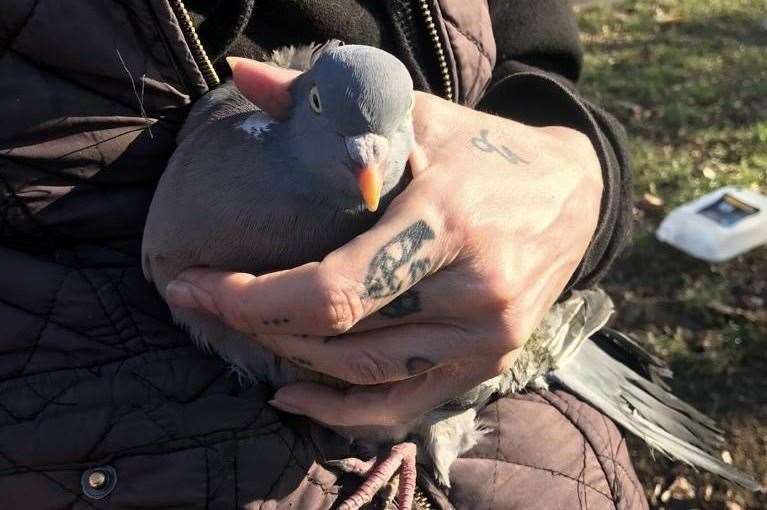 Winnie was released after the ordeal. Picture: Joelle Larney