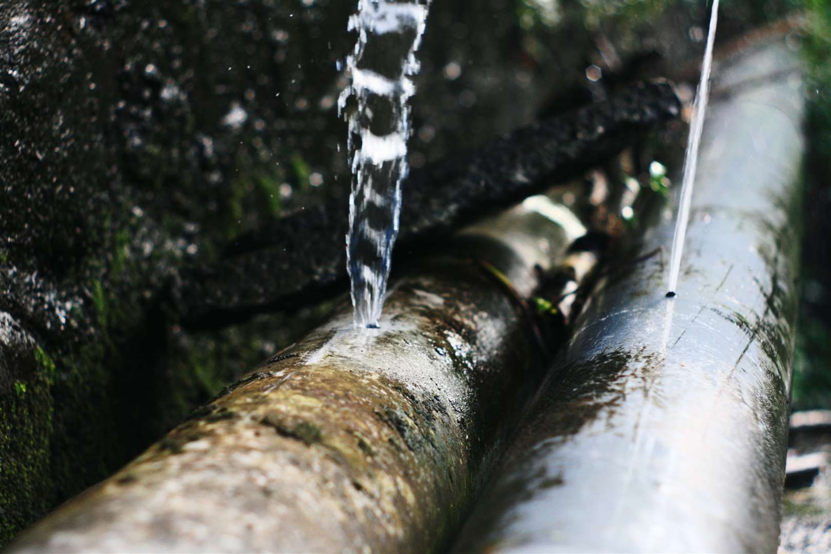 Southern Water customers will receive £61 each