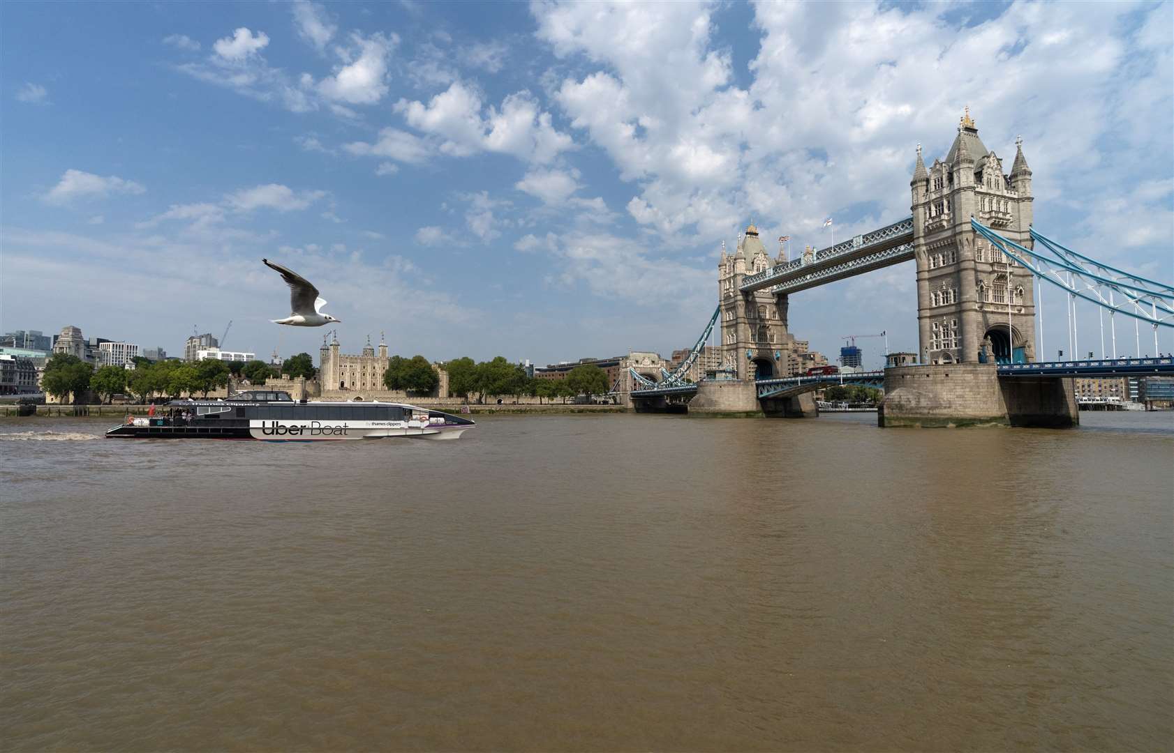 Uber Boat travelling from Gravesend to London Picture: mickey lee mediamixer.co.uk