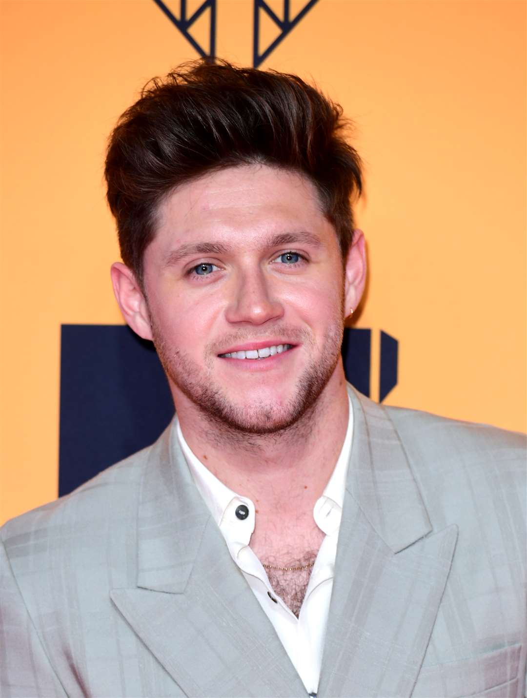 Niall Horan said the Alone charity was doing ‘fantastic work’ (Ian West/PA)