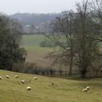 The site would be nine acres bigger than the one at Bearsted (above)