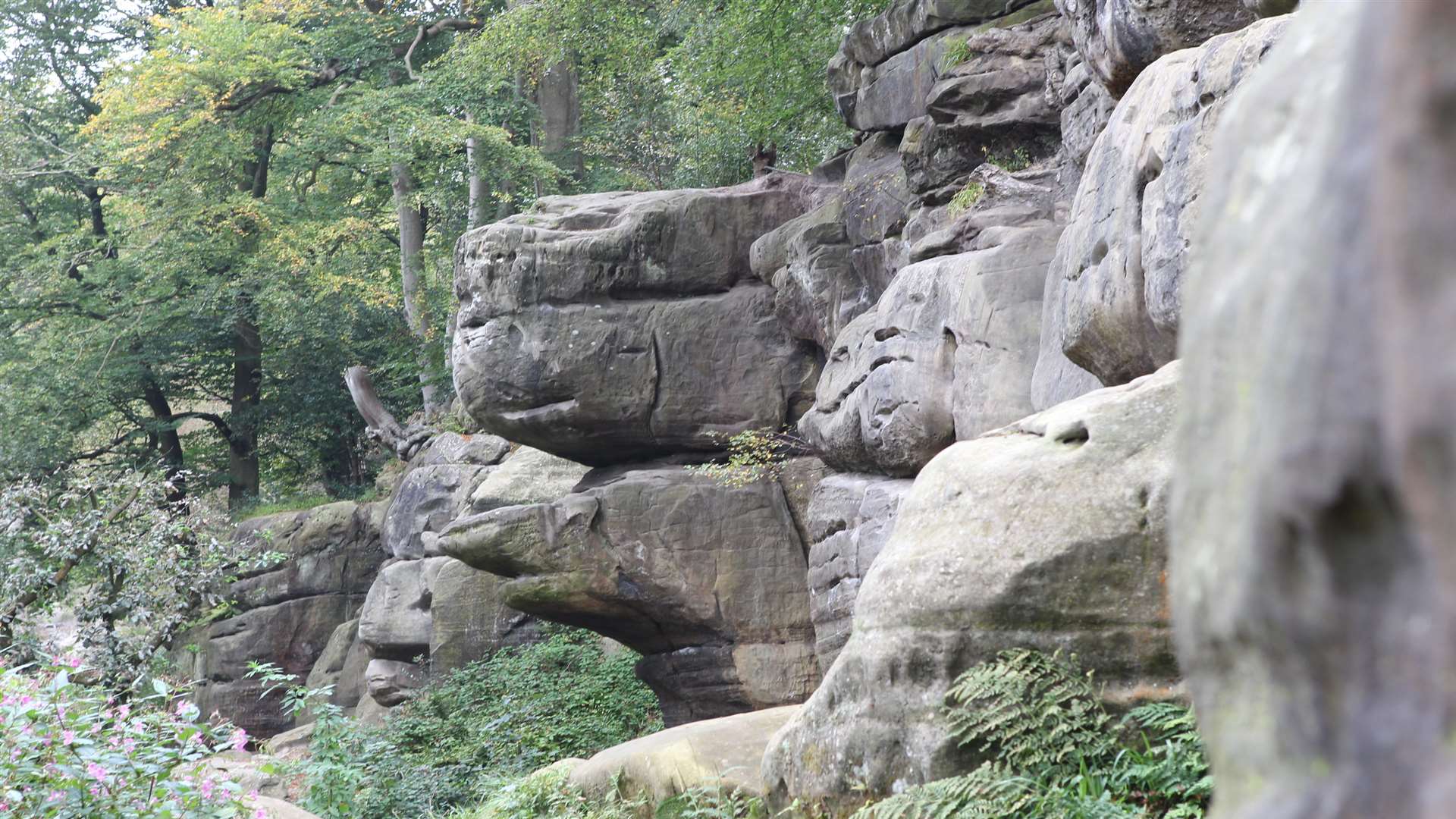 Harrison's Rocks, Groombridge