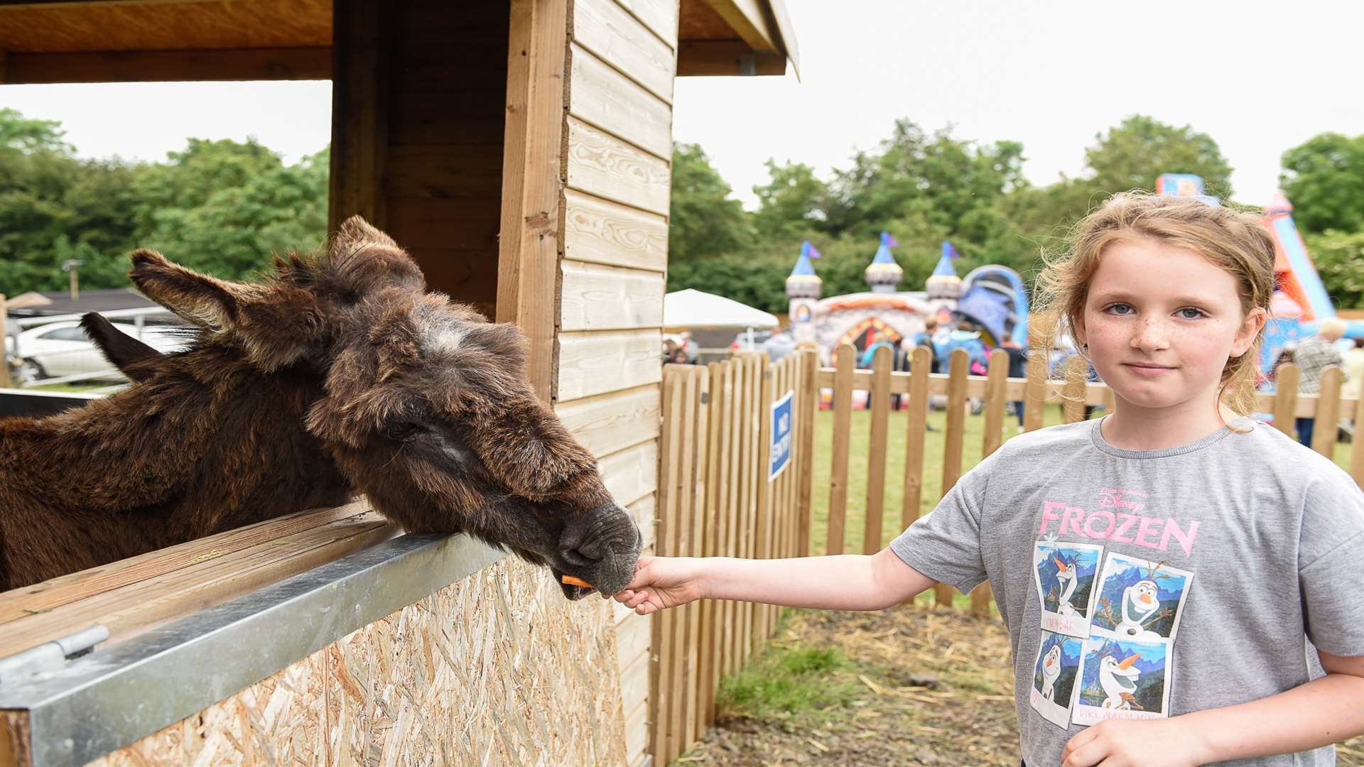 Kaycie May feeding one of the donkeys at Happy Endings Rescue fair