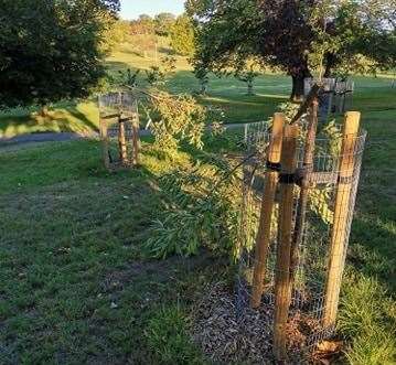 Trees have been snapped by vandals in Dane Park, Margate. Picture: Gary Taylor