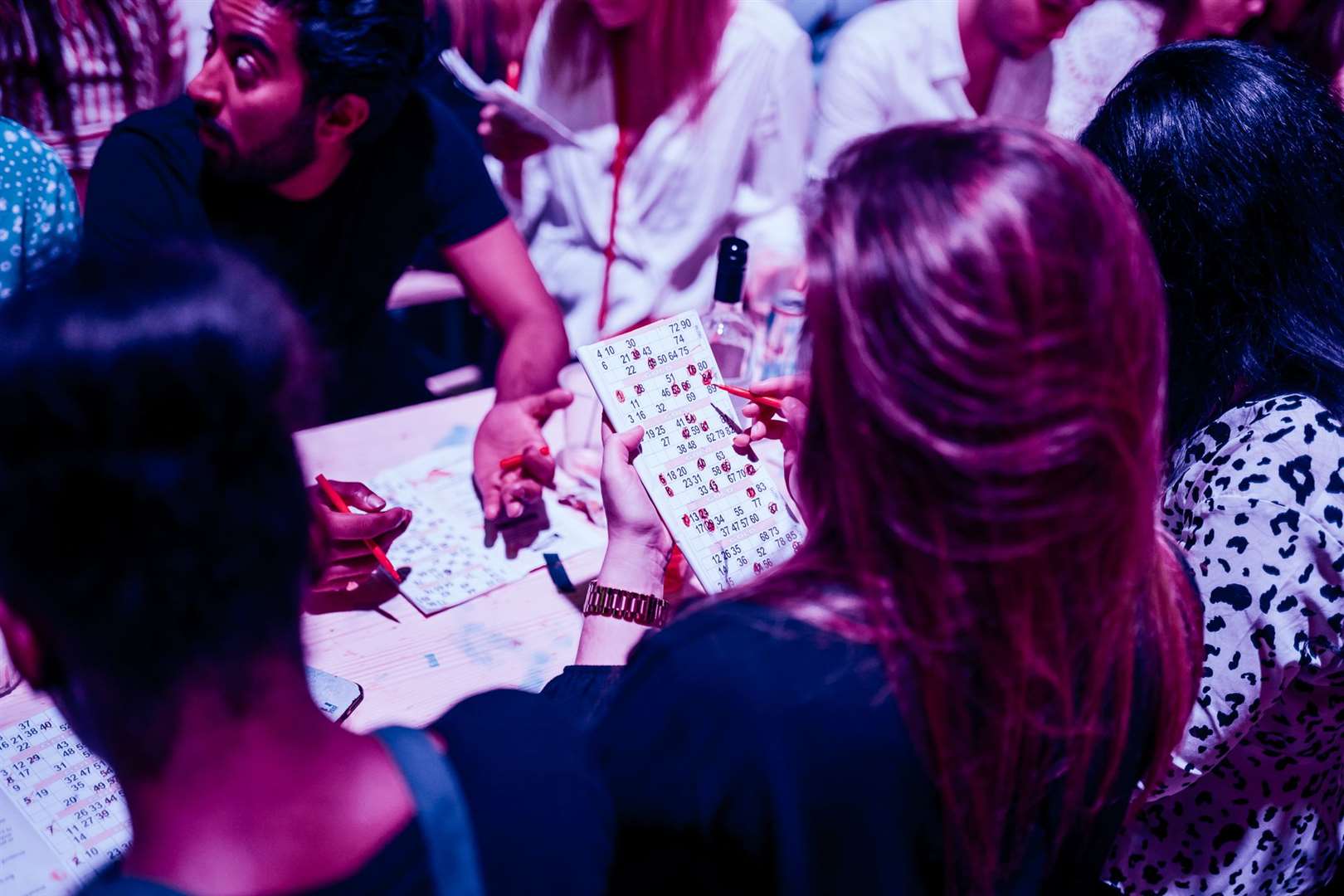 Bingo fans dabbing their numbers at Bongo Bingo (19972641)