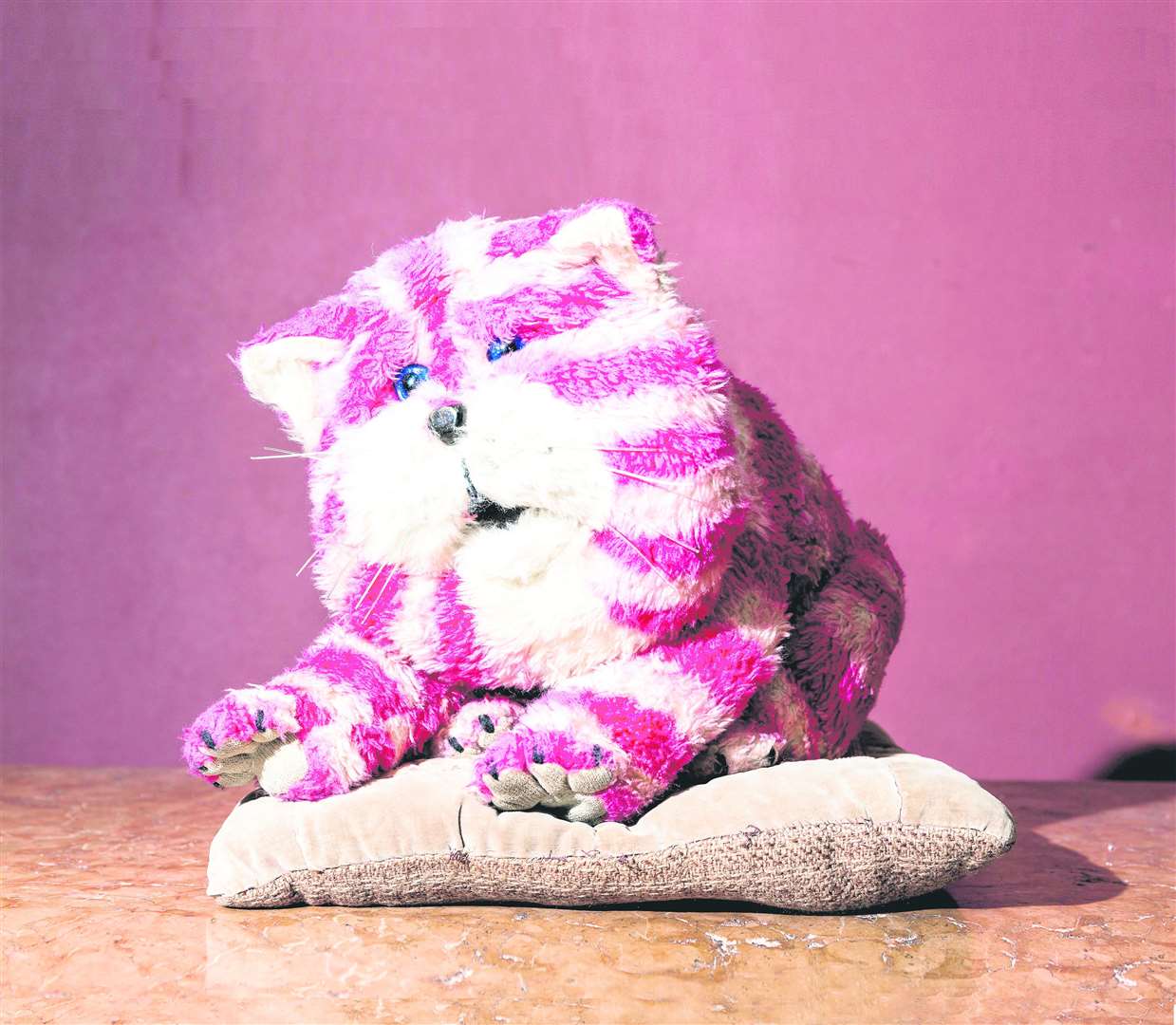 Bagpuss the old saggy cloth cat