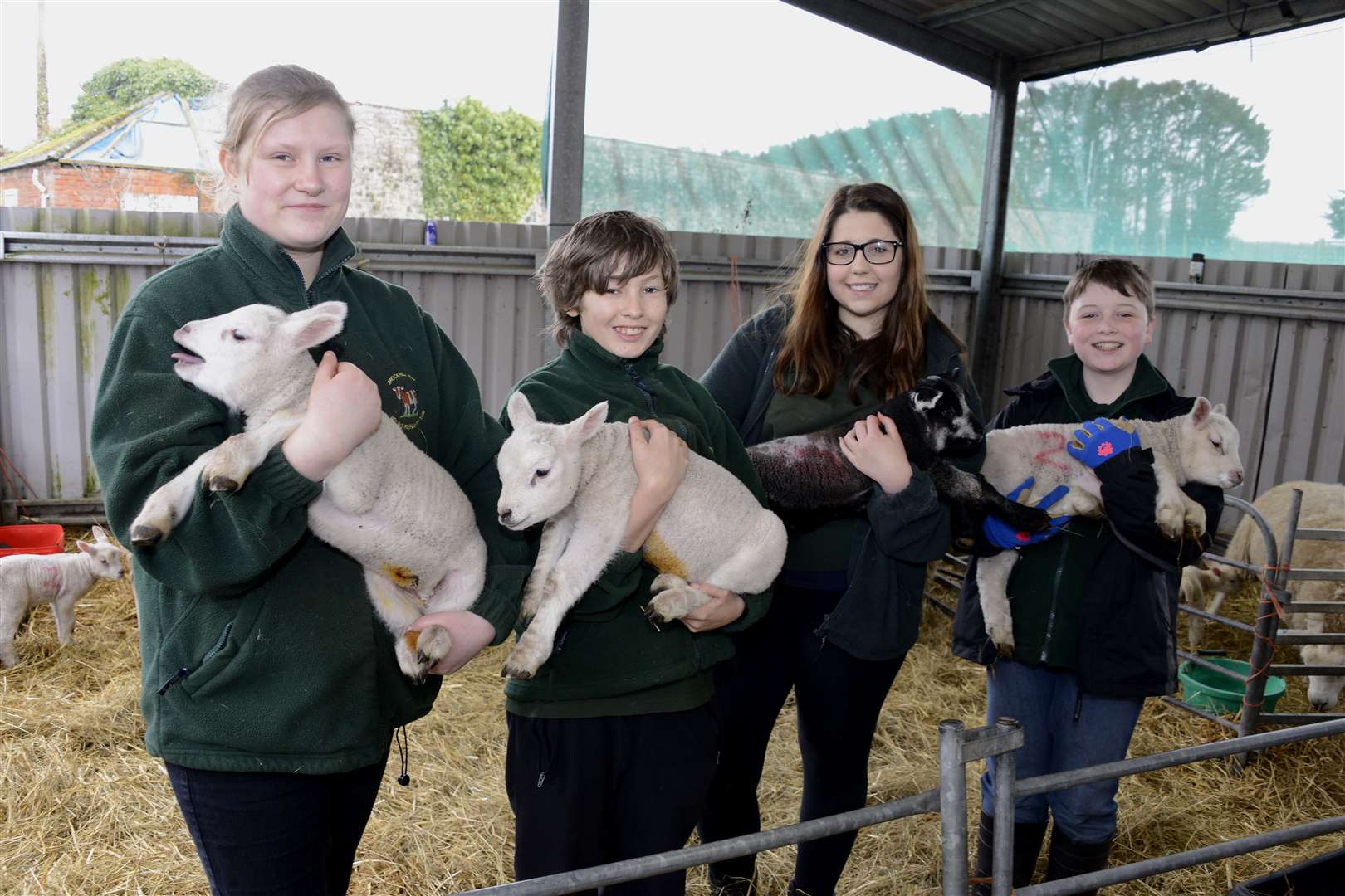 Lambing day at Brockhill Park School farm last year