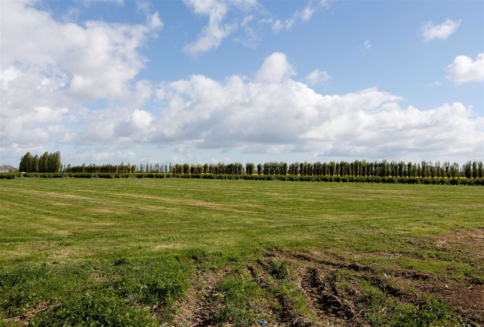 The fields and peace in and around Faversham and its villages is what proved such a draw to the star. Picture: Andy Jones