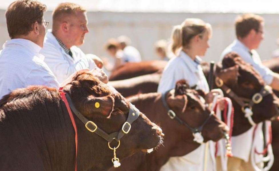 The Kent County Show starts on Friday