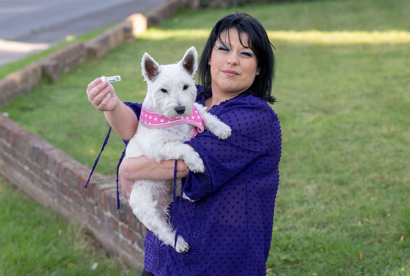 Masie the dog got grass seeds in her nose and paw. Picture: SWNS