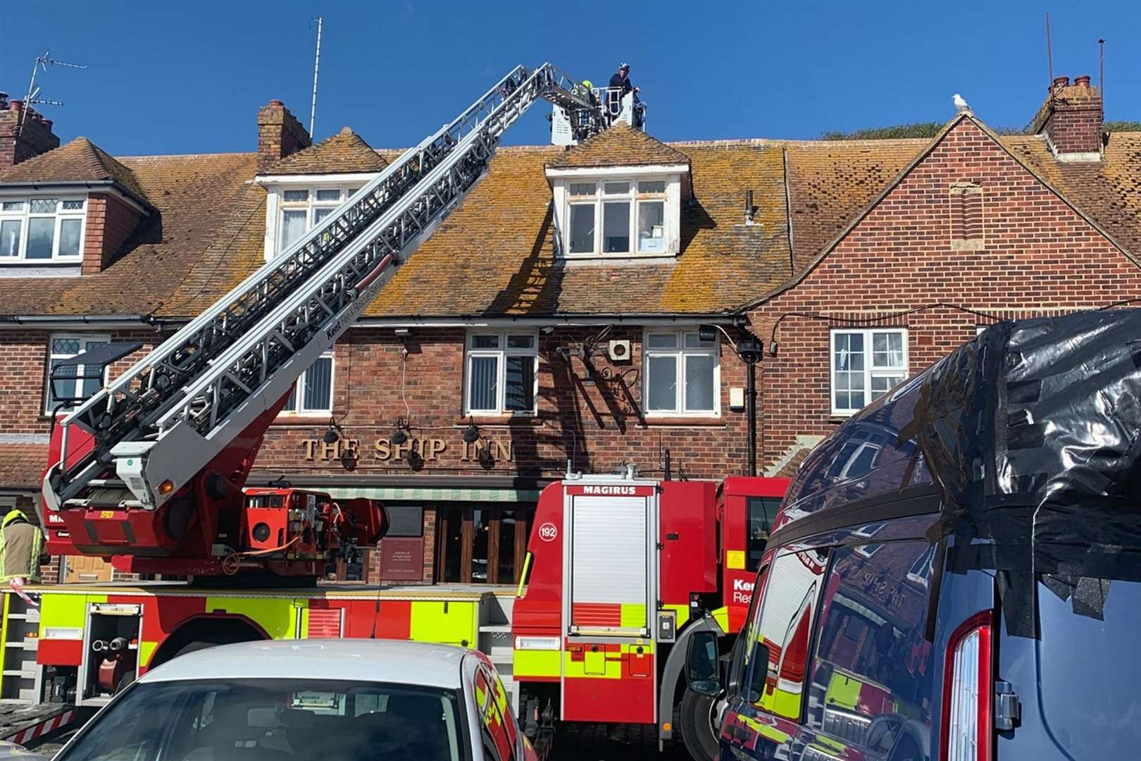 Crews used a height vehicle to reach the runaway reptile. Photo: KFRS