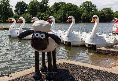 Dozens of colourful Shaun the Sheep sculptures are set to be installed throughout Maidstone at the end of June. Photo: Pennington PR