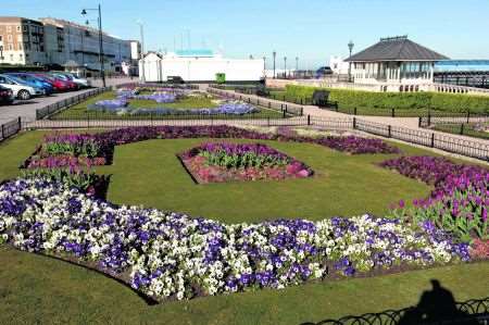 Flowers in Herne Bay