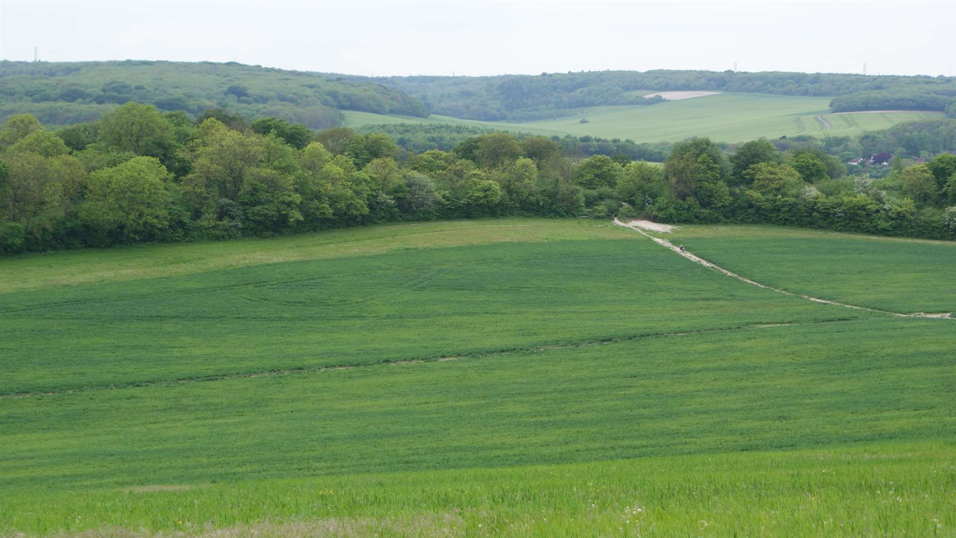 Ranscombe Farm after the power lines were removed