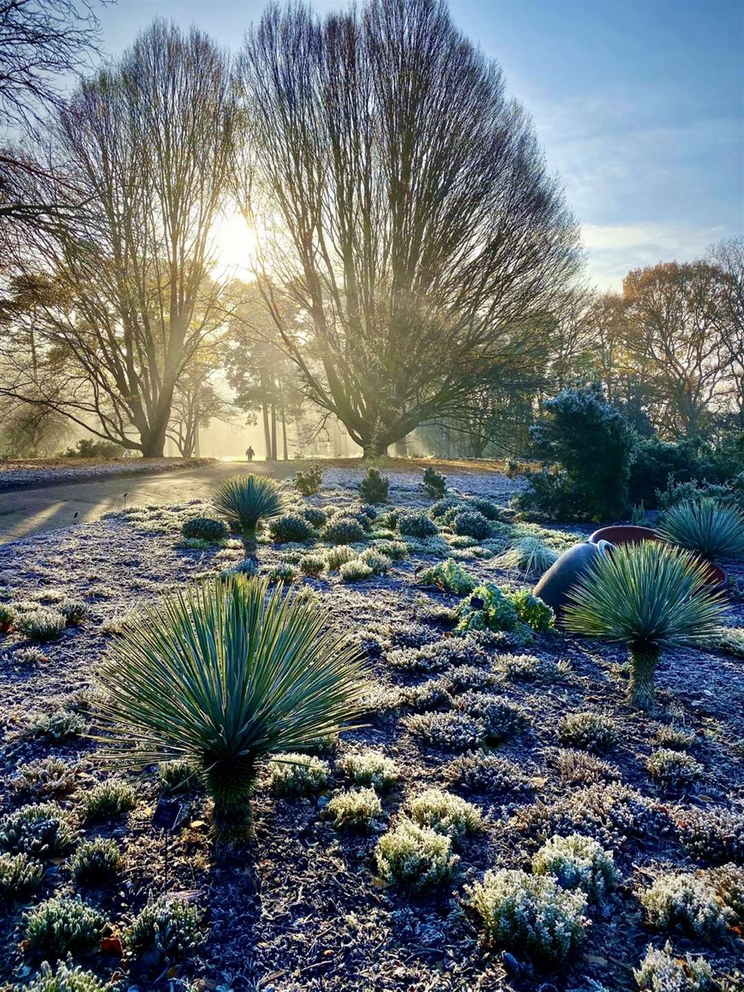 A Winter’s day at Wisley by Richard Turner, which has come first in the Celebrating Gardens category (Richard Turner/RHS/PA)