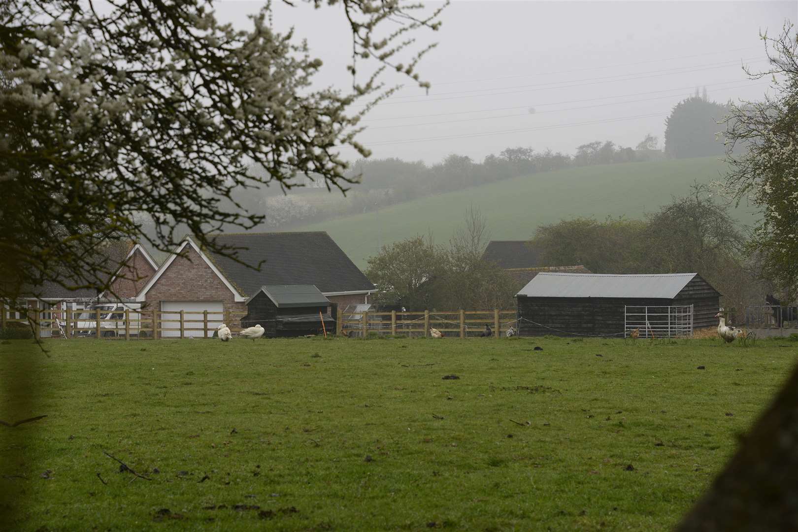 Chartham.Underdown Orchard in Thruxted lane..Picture: Paul Amos. (8319056)